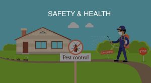 Professional Pest Extermination Services