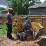 tree doctor calgary