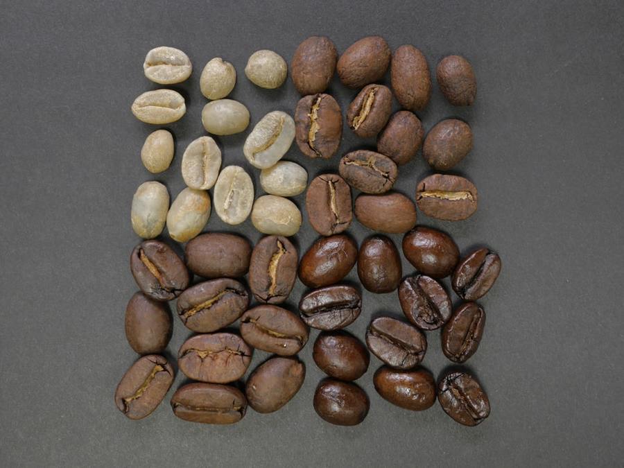 exploring coffee beans sydney