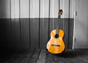 guitar bracewood price