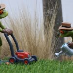 lawn care in Red Deer