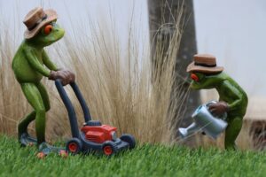 lawn care in Red Deer